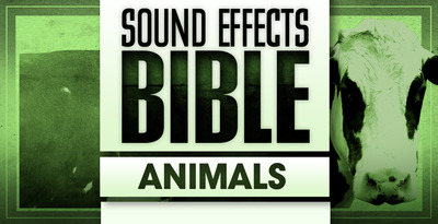 Sound effects bible animals 1000 x 512