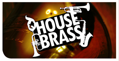 Dgs house brass 01 512