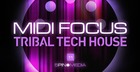 MIDI Focus - Tribal Tech House