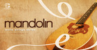 World String Series - Mandolin