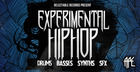 Experimental Hip Hop