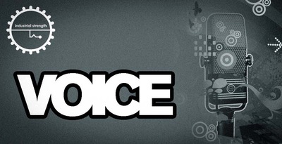Voice 1000x512