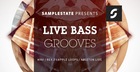 Live Bass Grooves