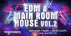 EDM & Main Room House Vol. 2