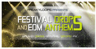 Festival Drops & EDM Anthems