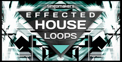 1000x512 effected house loops