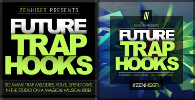Zenhiser future trap hooks 512