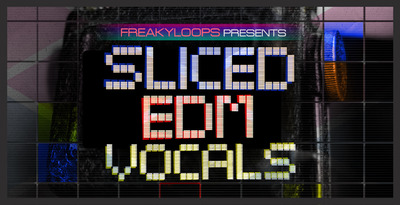 Sliced edm vocals 1000x512