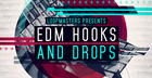 EDM Hooks and Drops