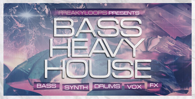 Bass heavy house 1000x512
