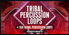 Tribal Percussion Loops