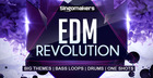 EDM Revolution