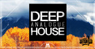 Deep Analogue House