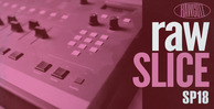Sp18 raw slice 1000 x 512