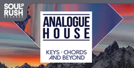 Analogueh banner