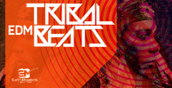 Tribalbeats 1000x512 300dpi