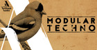Modular Techno