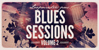 The Blues Sessions Vol2