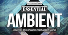 Essentials 36 - Essential Ambient