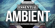 Lm essential ambient 1000 x 512