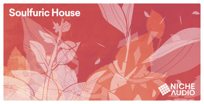 Niche samples sounds soulfuric house 1000 x 512 new