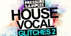 House Vocal Glitches 2