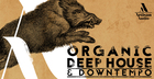 Organic Deep House & Downtempo