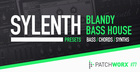 Blandy Bass House Sylenth Presets