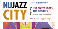 Nujazzcity512