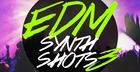 EDM Synth Shots 3