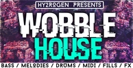 Hy2rogen wobblehouse1000x512