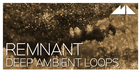 Remnant - Deep Ambient Loops