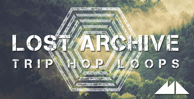 Lost archive banner