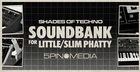 Shades of Techno Soundbank For Little/Slim Phatty