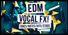 EDM Vocal FX 