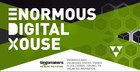 Enormous Digital House