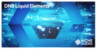 DnB Liquid Elements