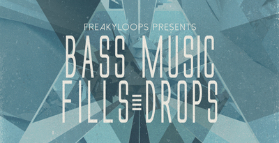 Bass music fills and drops 1000x512