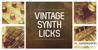 Vintage synth samples   music  sounds