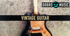 Vintage Guitar