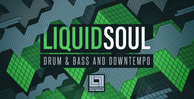 Looptone loops samples liquidsoul 1000 x 512 web