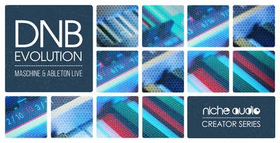 Niche creator series dnb evolution 1000 x 512