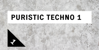 Riemann puristic techno 01 loopmasters