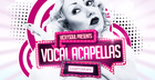 Vickysoul Vocal Acapellas