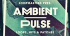 Ambient Pulse