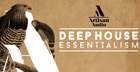 Deep House Essentialism
