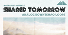 Shared Tomorrow - Analog Downtempo Loops