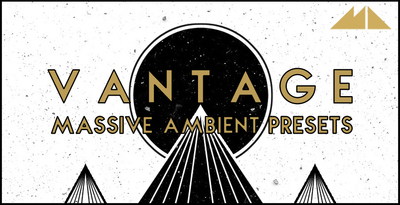 Vantage banner