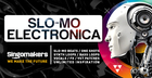 Slo-Mo Electronica