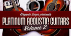 Platinum Acoustic Guitars 2